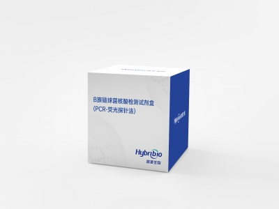 B族鏈球菌核酸檢測試劑盒（PCR-熒光探針法）